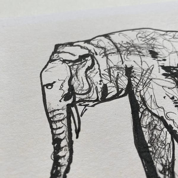 Elephant In Ink