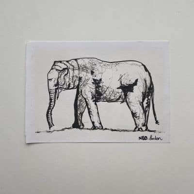 elephant_in_ink-main